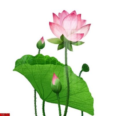 File PSD File tranh gốc in tranh tường nền tổng hợp H22585 (nguyên gốc) chất lượng cao