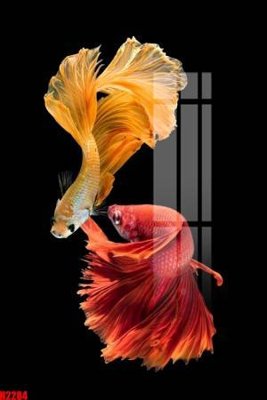 Tải file File tranh decor tranh bộ treo tường tổng hợp H2284 (gốc) làm file quảng cáo