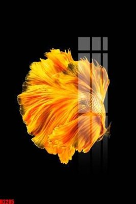 Tải file File tranh decor tranh bộ treo tường tổng hợp H2285 (ảnh gốc) in gạch 3D