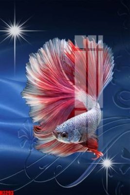 Download file File tranh decor tranh bộ treo tường tổng hợp H2293 (chuẩn in) File tranh decor tranh bộ treo tường tổng hợp H2293