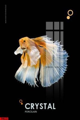 File in trần File tranh decor tranh bộ treo tường tổng hợp H2299 (bản gốc) bầu trời