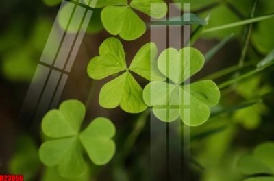 File gốc File tranh gốc in tranh tường nền tổng hợp H23056 (trang trí) phòng trẻ em