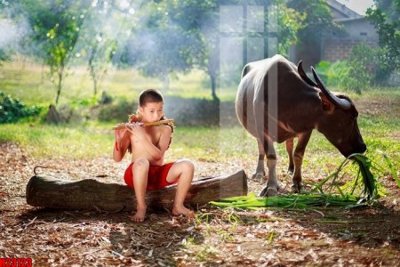 Mua file gốc File tranh gốc in tranh tường nền tổng hợp H23123 (in ấn) tại Filetranh.com