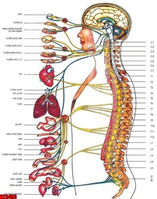 Mua file ảnh gốc File tranh gốc in tranh tường nền tổng hợp H23403 (chất lượng cao)