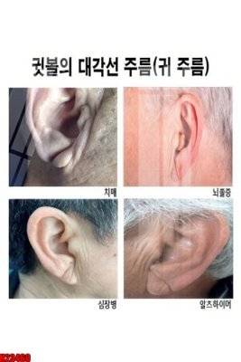 Tải file tranh gốc File tranh gốc in tranh tường nền tổng hợp H23460 chất lượng cao