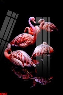 File tranh File tranh gốc in tranh tường nền tổng hợp H23477 (ảnh gốc) cho in ấn kỹ thuật số