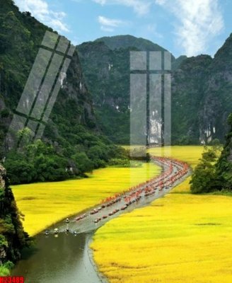 File gốc in ấn File tranh gốc in tranh tường nền tổng hợp H23489 chuẩn màu CMYK