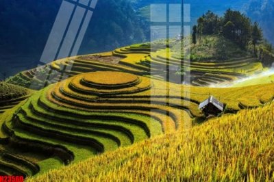 File tranh File tranh gốc in tranh tường nền tổng hợp H23560 (gốc) chủ đề trẻ em