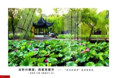 File ảnh File tranh gốc in tranh tường nền tổng hợp H23688 (gốc) in decal dán tường