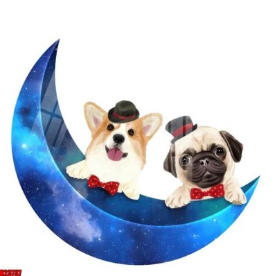 File tranh File tranh gốc in tranh tường nền tổng hợp H23737 (ảnh gốc) chi tiết rõ ràng