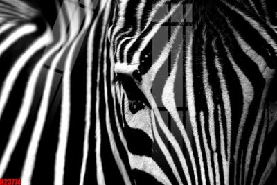 File tranh gốc File tranh gốc in tranh tường nền tổng hợp H23774 (bản quyền) độc đáo