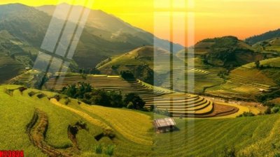 File tranh File tranh gốc in tranh tường nền tổng hợp H23834 (bản gốc) trang trí văn phòng