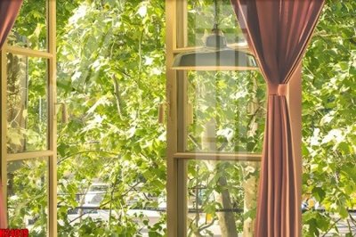 Download file tranh PSD File tranh gốc in tranh tường nền tổng hợp H24019 để chỉnh sửa