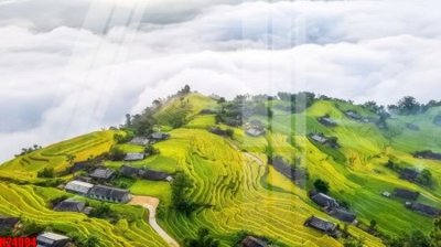 File in ấn File tranh gốc in tranh tường nền tổng hợp H24094 (bản gốc) sắc nét