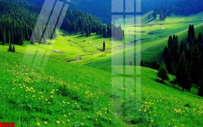 Tải file File tranh gốc in tranh tường nền tổng hợp H24112 (gốc) làm tranh trang trí