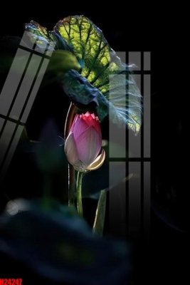 File tranh gốc PSD File tranh gốc in tranh tường nền tổng hợp H24247 còn nguyên layer