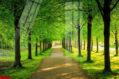 Tải file tranh gốc File tranh gốc in tranh tường nền tổng hợp H24423 chất lượng cao