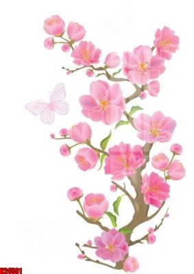 Chi tiết file gốc File tranh gốc in tranh tường nền tổng hợp H24591 (cho in tráng gương)