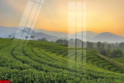 File gốc File tranh gốc in tranh tường nền tổng hợp H24699 (in mica) làm bảng hiệu