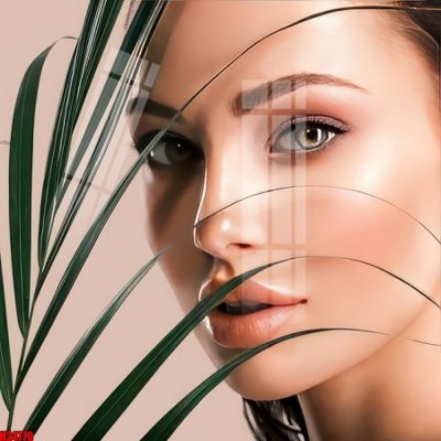 File in trần File tranh gốc in tranh tường nền tổng hợp H24770 (bản gốc) hoa văn