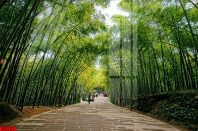 Tải file File tranh gốc in tranh tường nền tổng hợp H24848 (ảnh gốc) file TIFF