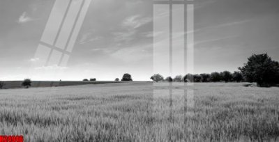 File in mica File tranh gốc in tranh tường nền tổng hợp H24946 (bản gốc) sắc sảo