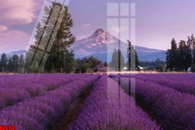 File in ấn File tranh gốc in tranh tường nền tổng hợp H25113 (bản gốc) từ file gốc