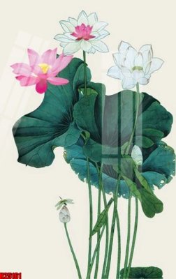 File tranh trang trí File tranh gốc in tranh tường nền tổng hợp H25161 (tải file gốc)