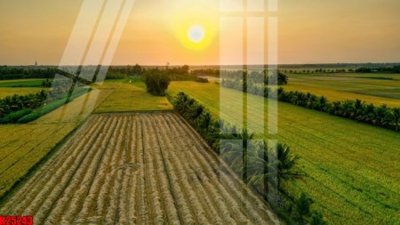 File tranh File tranh gốc in tranh tường nền tổng hợp H25243 (file gốc) chuẩn màu in