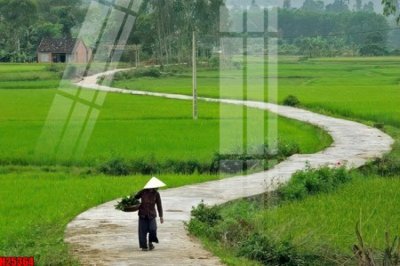 File tranh quảng cáo File tranh gốc in tranh tường nền tổng hợp H25364 (file gốc) chuyên nghiệp