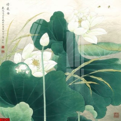 File tranh File tranh gốc in tranh tường nền tổng hợp H25475 (gốc) chủ đề động vật