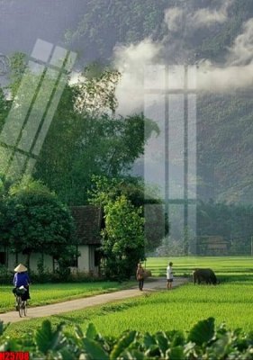 Ảnh mô tả file gốc in mica File tranh gốc in tranh tường nền tổng hợp H25708