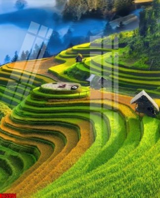 Download file gốc File tranh gốc in tranh tường nền tổng hợp H25991 (dùng cho in ấn)