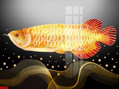 Mua file gốc File tranh decor tranh bộ treo tường tổng hợp H2615 (chất lượng) tại Filetranh.com