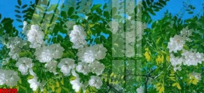 File gốc File tranh gốc in tranh tường nền tổng hợp H26239 (in tráng gương) hiện đại