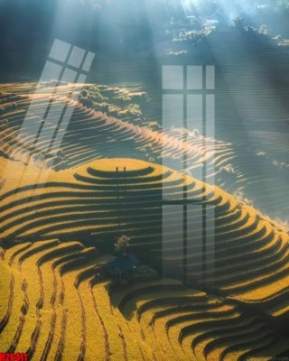 File in ấn File tranh gốc in tranh tường nền tổng hợp H26411 (bản gốc) chất lượng cao