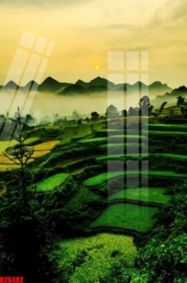 Ảnh gốc File tranh gốc in tranh tường nền tổng hợp H26482 (độ nét cao) in mica