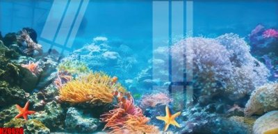 Ảnh gốc file in lụa File tranh gốc in tranh tường nền tổng hợp H26626 chi tiết