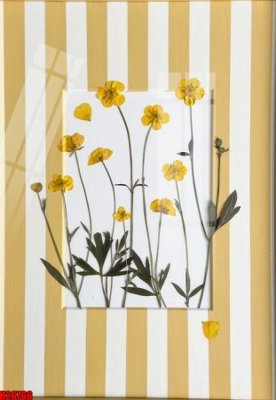 File tranh File tranh gốc in tranh tường nền tổng hợp H26766 (ảnh gốc) in trần nhà