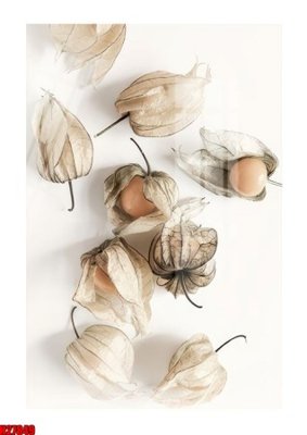 Tải về hình ảnh gốc File tranh gốc in tranh tường nền tổng hợp H27849 sắc nét