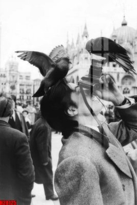 File ảnh File tranh gốc in tranh tường nền tổng hợp H28125 (gốc) in Hiflex