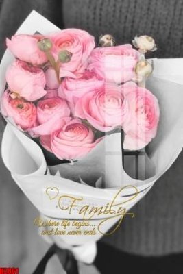 Tải file File tranh decor tranh bộ treo tường tổng hợp H2861 (PSD) cho in tranh kính