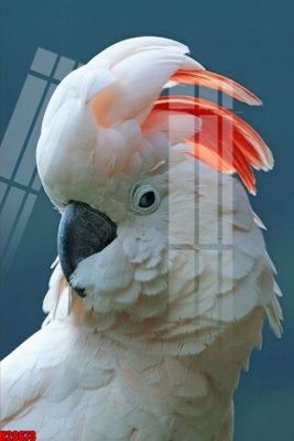 Tải file File tranh gốc in tranh tường nền tổng hợp H28673 (ảnh gốc) 300dpi File tranh gốc in tranh tường nền tổng hợp H28673