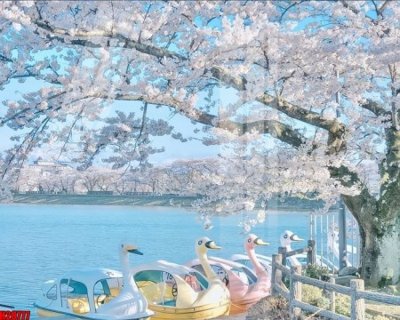 Download file gốc File tranh gốc in tranh tường nền tổng hợp H28777 (in mica) 3D