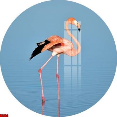 File ảnh gốc File tranh decor tranh bộ treo tường tổng hợp H2886 không vỡ nét