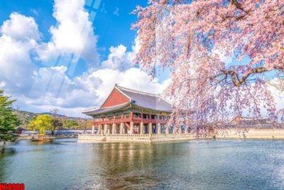 Tải file File tranh gốc in tranh tường nền tổng hợp H28900 (gốc) để in ấn ngay