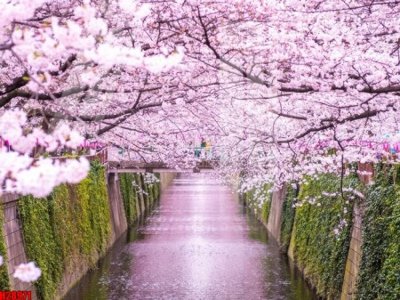 File gốc File tranh gốc in tranh tường nền tổng hợp H28971 (in lụa) chi tiết cao