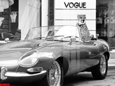 File tranh gốc File tranh gốc in tranh tường nền tổng hợp H29023 (bản đẹp) độc quyền