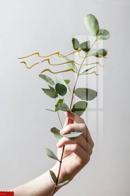 File in lụa File tranh decor tranh bộ treo tường tổng hợp H2903 (hoa văn) File tranh decor tranh bộ treo tường tổng hợp H2903