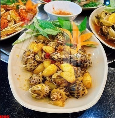 File in trần File tranh gốc in tranh tường nền tổng hợp H29072 (bản gốc) trời sao